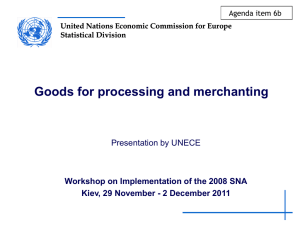 United Nations Economic Commission for Europe Statistical Division Agenda item 6b