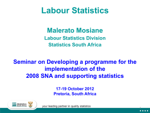 Labour Statistics Malerato Mosiane Seminar on Developing a programme for the