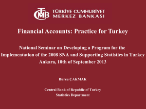 Financial Accounts: Practice for Turkey
