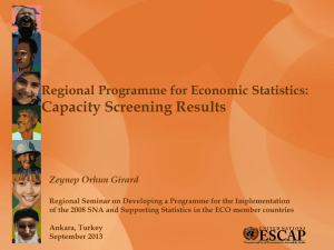 Capacity Screening Results Regional Programme for Economic Statistics: Zeynep Orhun Girard