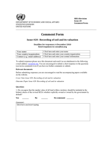 SEEA Revision Issue 20 Comment Form