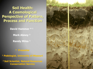 Soil Health: A Cosmological Perspective of Pattern, Process and Function