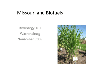 Missouri and Biofuels Bioenergy 101 Warrensburg November 2008