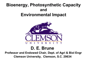 Bioenergy, Photosynthetic Capacity Environmental Impact D. E. Brune and