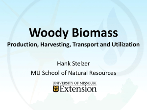 Woody Biomass Production, Harvesting, Transport and Utilization Hank Stelzer
