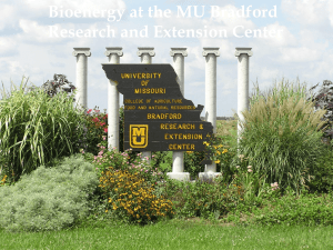 Bioenergy at the MU Bradford Research and Extension Center