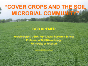 “COVER CROPS AND THE SOIL MICROBIAL COMMUNITY” BOB KREMER