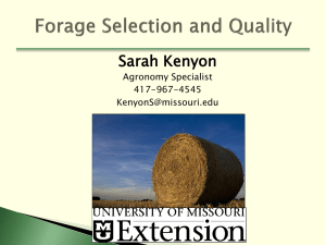 Sarah Kenyon Agronomy Specialist 417-967-4545