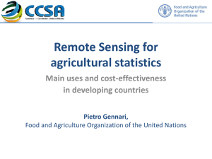 Remote Sensing for agricultural statistics Main uses and cost-effectiveness in developing countries