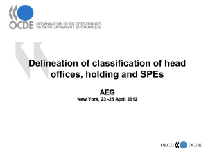 Delineation of classification of head offices, holding and SPEs AEG