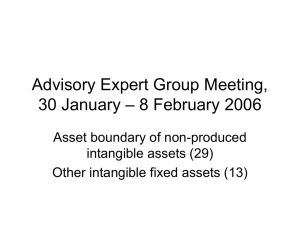 Advisory Expert Group Meeting, – 8 February 2006 30 January