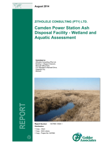 Camden Power Station Ash Disposal Facility - Wetland and Aquatic Assessment