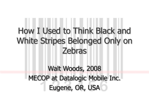 How I Used to Think Black and Zebras Walt Woods, 2008