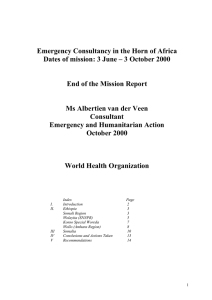 Emergency Consultancy in the Horn of Africa