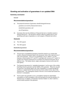 Granting and activation of guarantees in an updated SNA Summary conclusion Recommendations/questions