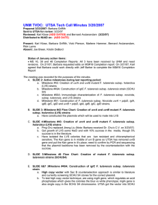 UNM TVDC:  UTSA Tech Call Minutes 3/20/2007