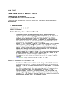 UNM TVDC UTSA - UNM Tech Call Minutes:  6/20/06