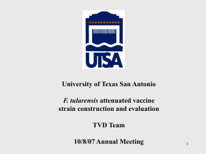 University of Texas San Antonio strain construction and evaluation TVD Team