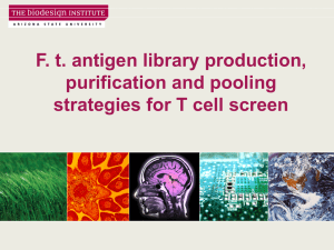 F. t. antigen library production, purification and pooling