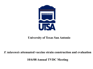F. tularensis University of Texas San Antonio 10/6/08 Annual TVDC Meeting
