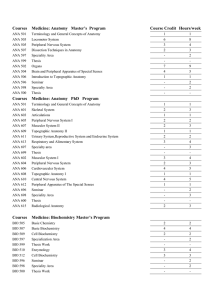 Courses  Medicine: Anatomy   Master’s  Program