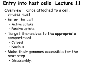 Entry into host cells Lecture 11