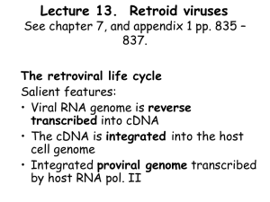 Lecture 13.  Retroid viruses