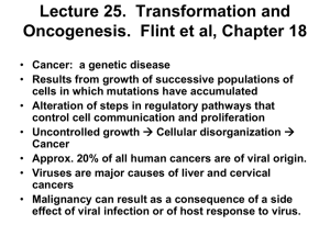 Lecture 25.  Transformation and