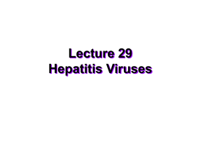 Lecture 29 Hepatitis Viruses