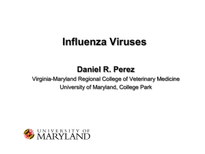 Influenza Viruses Daniel R. Perez Virginia-Maryland Regional College of Veterinary Medicine
