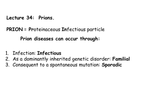 Lecture 34:  Prions. PRION Prion diseases can occur through: Infectious