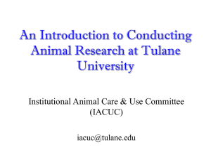 An Introduction to Conducting Animal Research at Tulane University