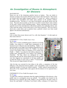 An Investigation of Muons in Atmospheric Air Showers