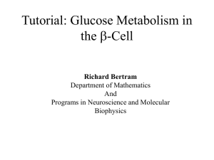 Tutorial: Glucose Metabolism in the -Cell b
