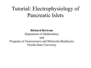Tutorial: Electrophysiology of Pancreatic Islets