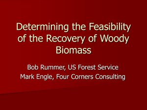 Determining the Feasibility of the Recovery of Woody Biomass