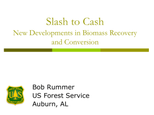 Slash to Cash New Developments in Biomass Recovery and Conversion Bob Rummer