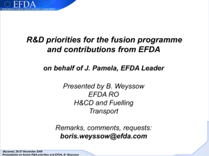 R&amp;D priorities for the fusion programme and contributions from EFDA
