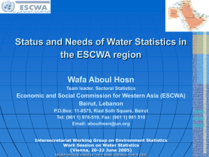 Status and Needs of Water Statistics in the ESCWA region