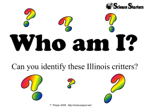 Who am I? Can you identify these Illinois critters? T. Trimpe 2008