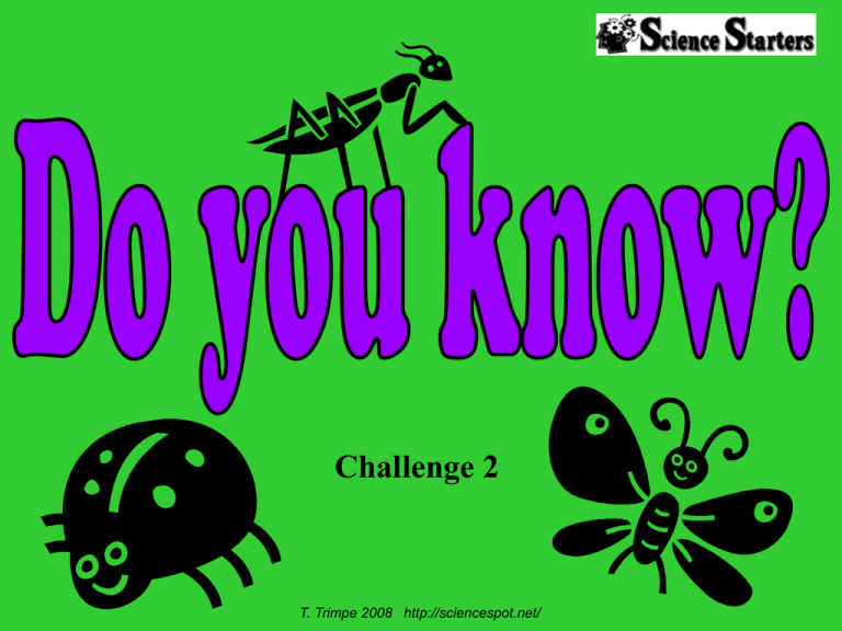 Challenge 2 T Trimpe 2008