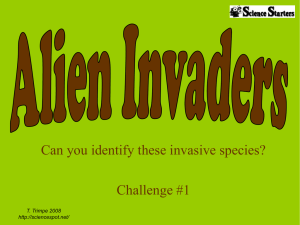 Can you identify these invasive species? Challenge #1 T. Trimpe 2008