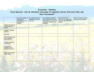 Ecosystem:  Meadows Focus Question: their environment?