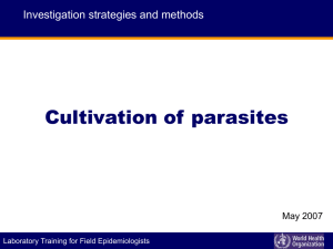 Cultivation of parasites Investigation strategies and methods May 2007