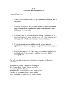 DMC Community Resource Committee  Proposed Objectives: