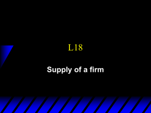 L18 Supply of a firm