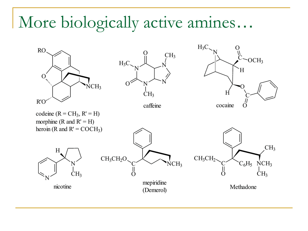 More Biologically Active Amines