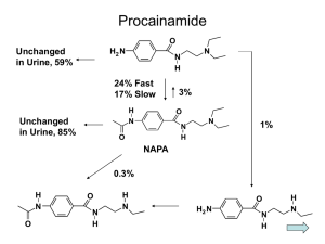 Procainamide Unchanged in Urine, 59% 24% Fast