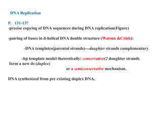 DNA Replication P.   131-137