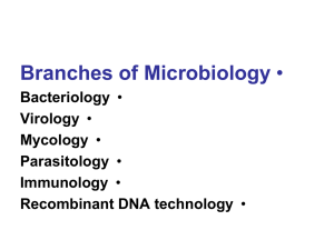 • Branches of Microbiology Bacteriology Virology